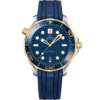 Omega Seamaster Diver 300M Co‑Axial Master Chronometer 42Mm